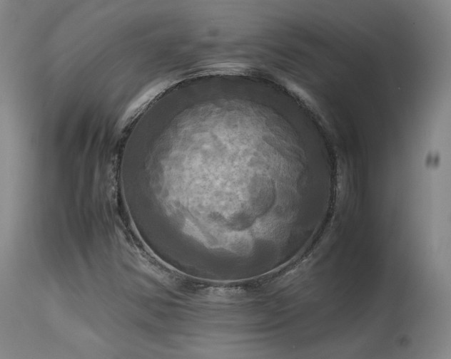 X0000113251354200909171616