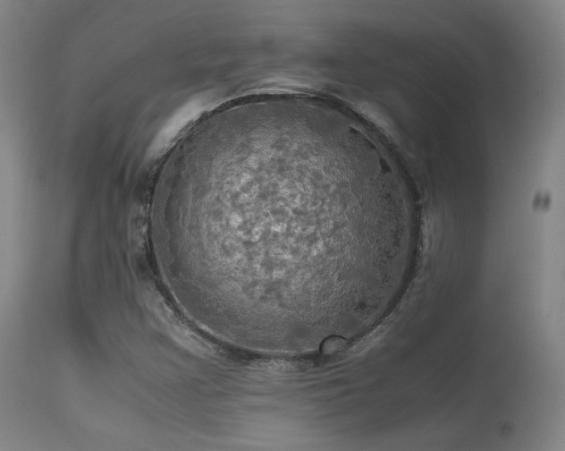 X0000113251355200909171616