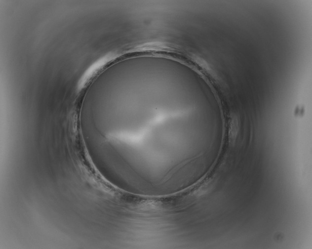X0000113251358200909171616