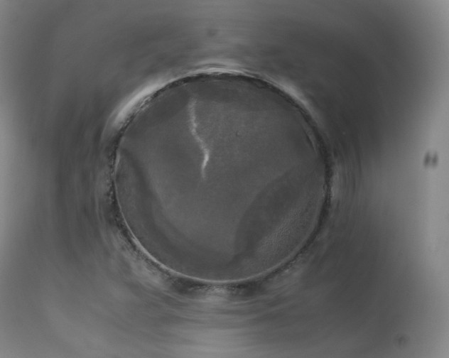 X0000113251359200909171616