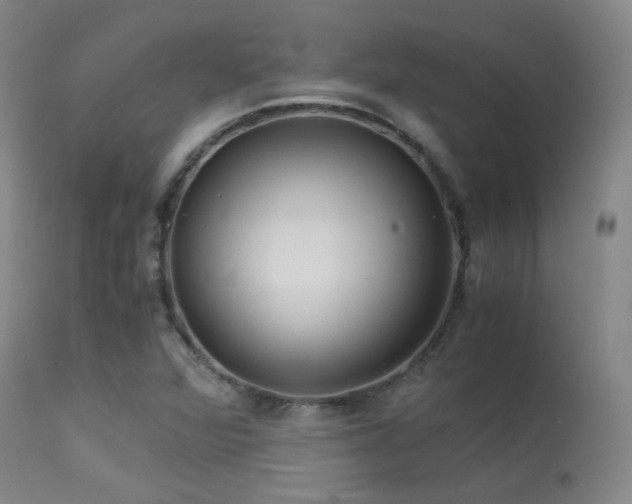 X0000113251360200909171616