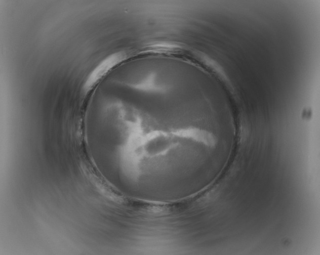 X0000113251362200909171616