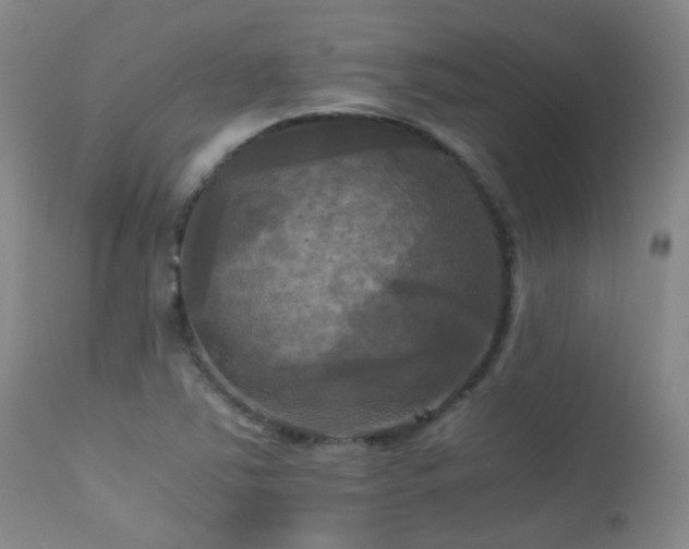 X0000113251363200909171616