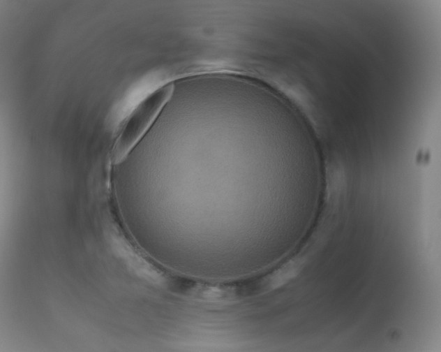 X0000113251365200909171616
