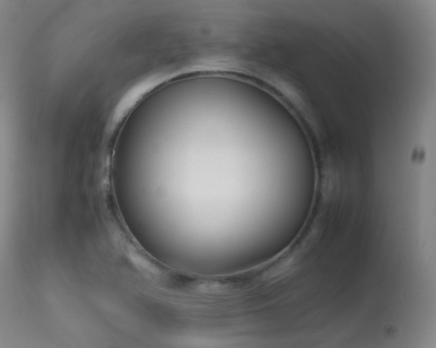 X0000113251366200909171616