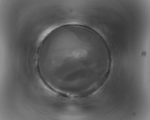 X0000113251367200909171616