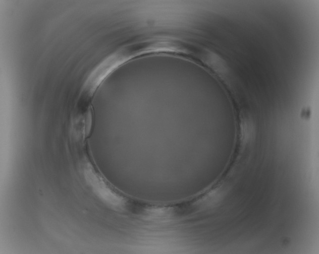 X0000113251369200909171616