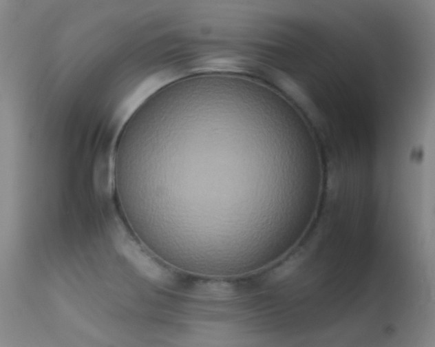 X0000113251370200909171616