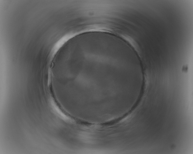X0000113251371200909171616