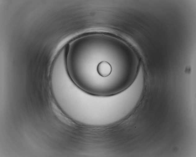 X0000113251372200909171616