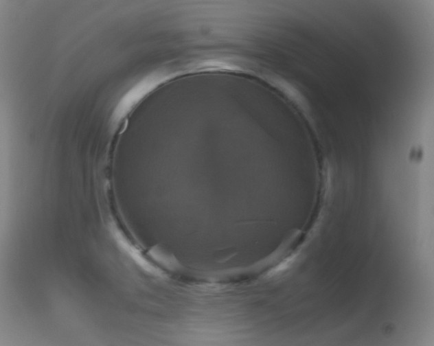 X0000113251373200909171616