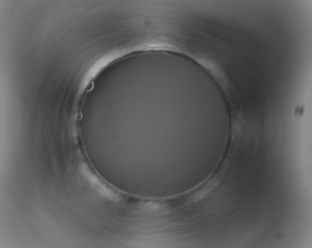 X0000113251374200909171616