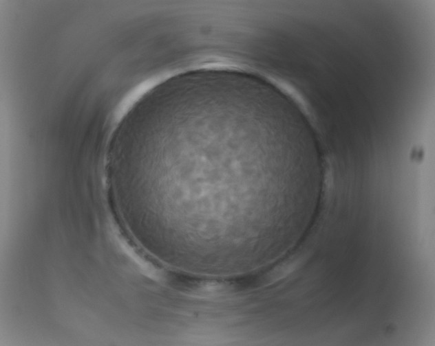 X0000113251375200909171616