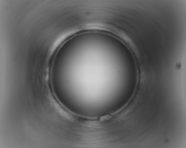 X0000113251376200909171616
