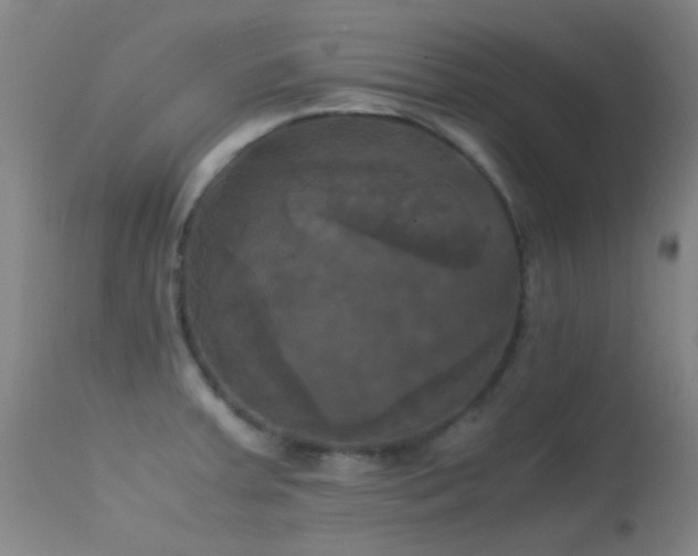 X0000113251379200909171616