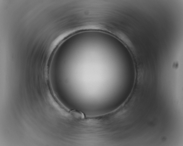 X0000113251380200909171616