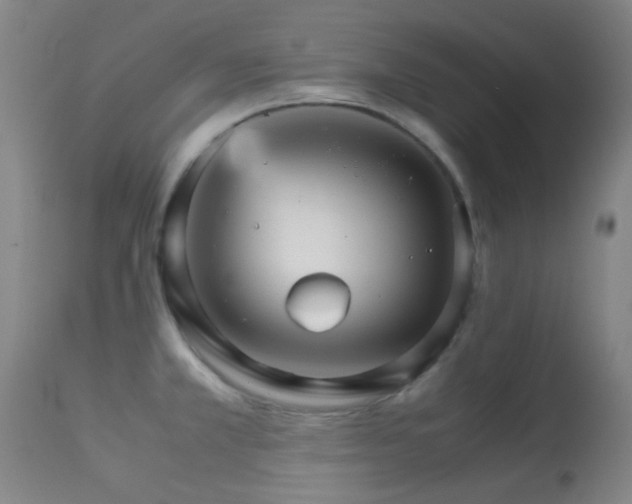 X0000113251381200909171616