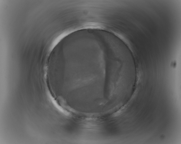 X0000113251383200909171616