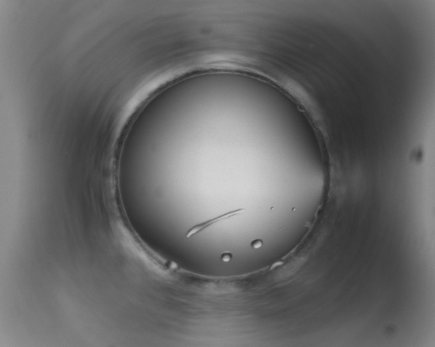 X0000113251384200909171616