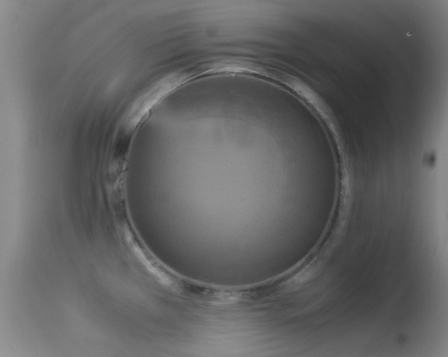 X0000113251385200909171616