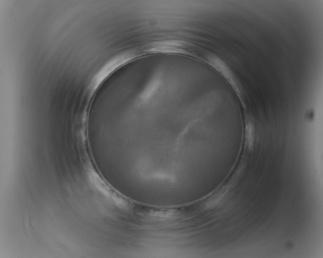 X0000113251386200909171616