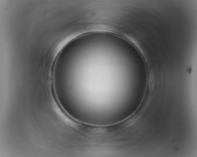 X0000113251387200909171616
