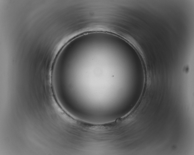X0000113251388200909171616