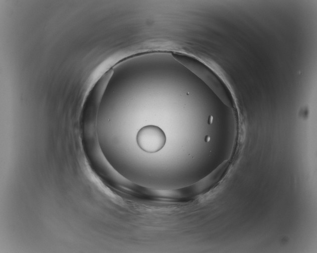 X0000113251389200909171616