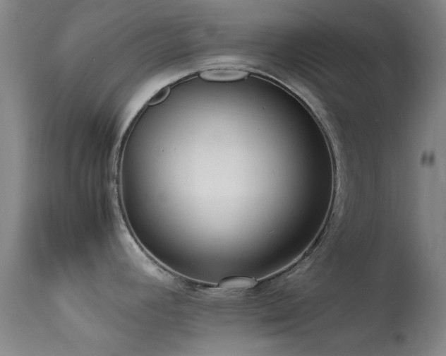 X0000113251392200909171616