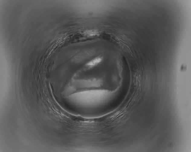X0000113251393200909171615