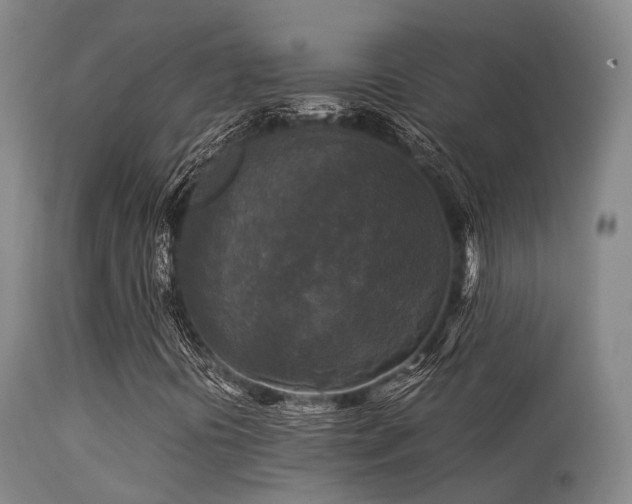 X0000113251394200909171615