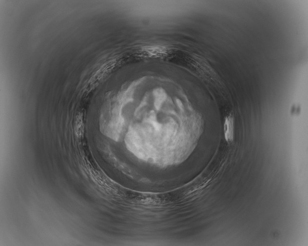 X0000113251395200909171615