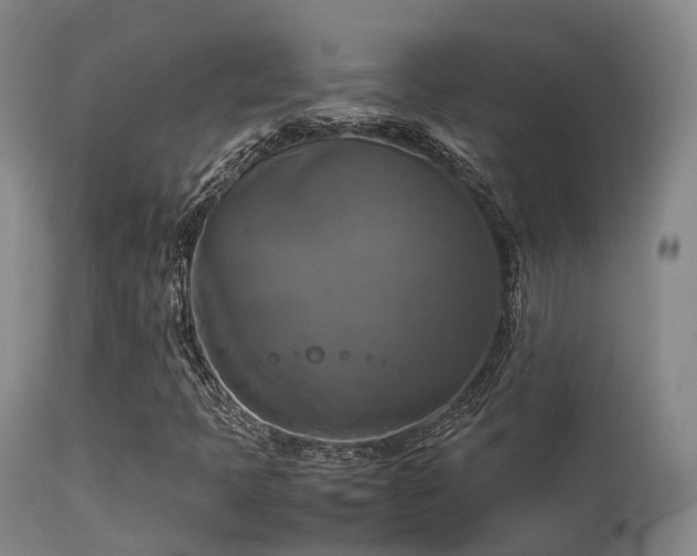 X0000113251397200909171615