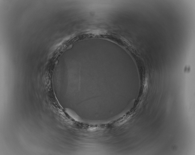 X0000113251398200909171615
