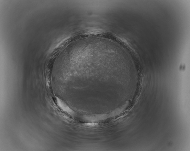 X0000113251399200909171615