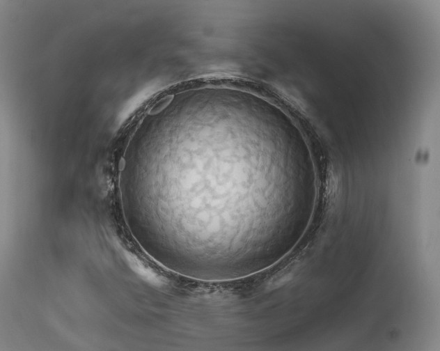 X0000113251400200909171615