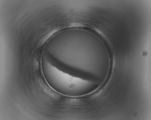 X0000113251401200909171615