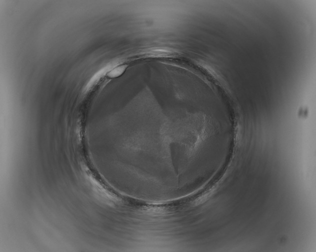 X0000113251402200909171615