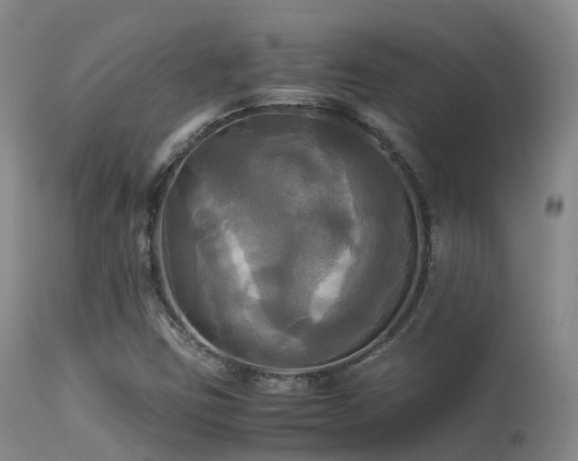 X0000113251403200909171615