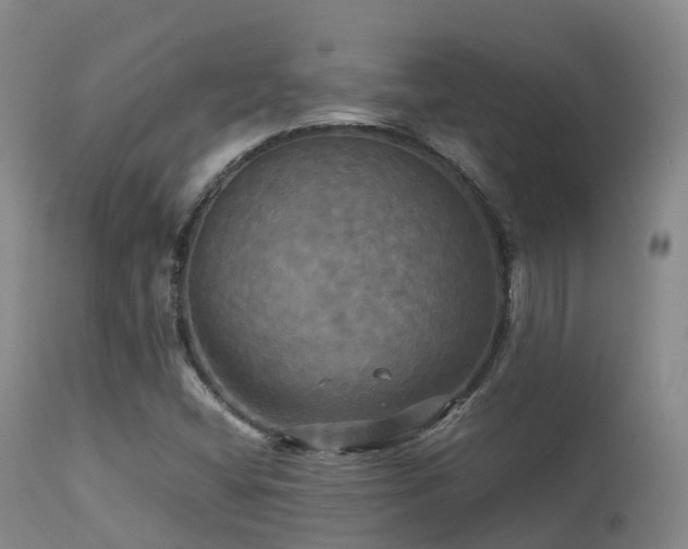 X0000113251404200909171615
