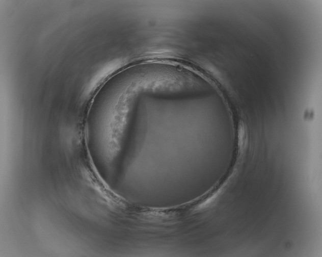 X0000113251405200909171615