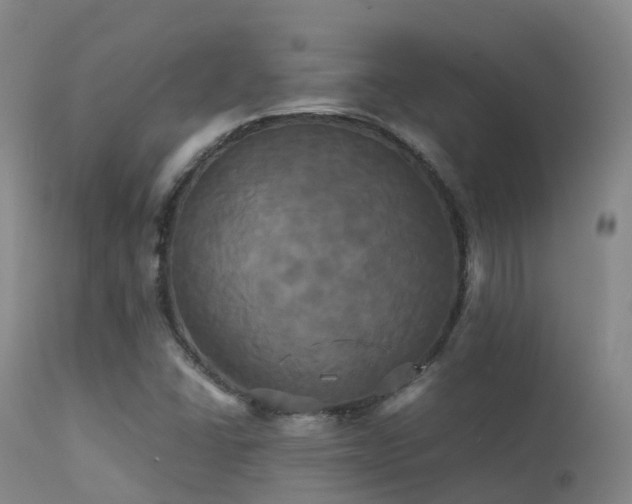X0000113251406200909171615