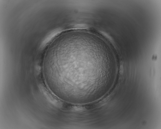 X0000113251407200909171615