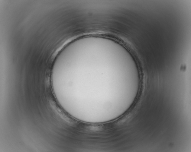 X0000113251409200909171615
