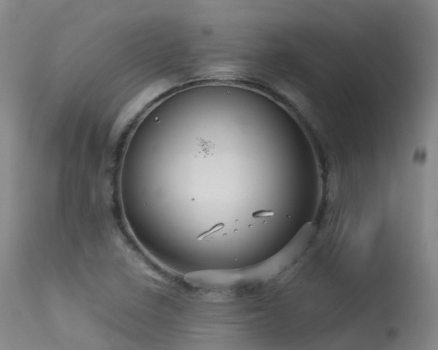 X0000113251410200909171615