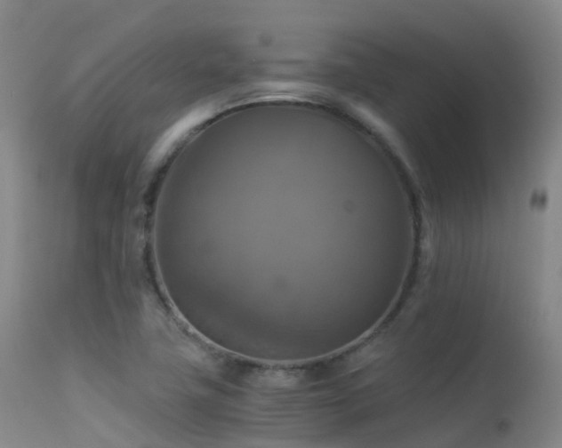 X0000113251411200909171615