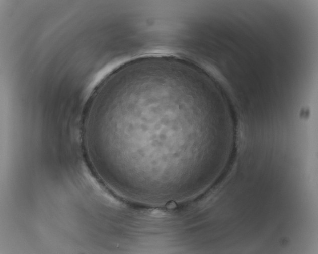 X0000113251412200909171615