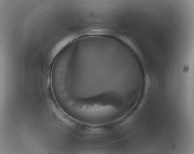 X0000113251413200909171615