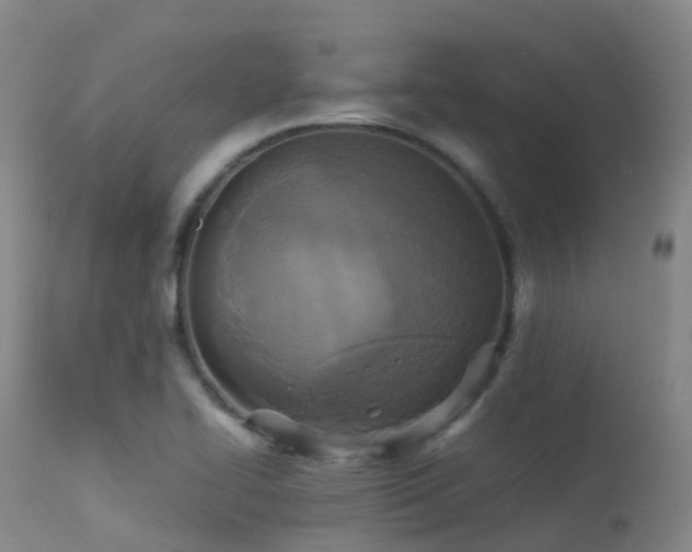 X0000113251414200909171615