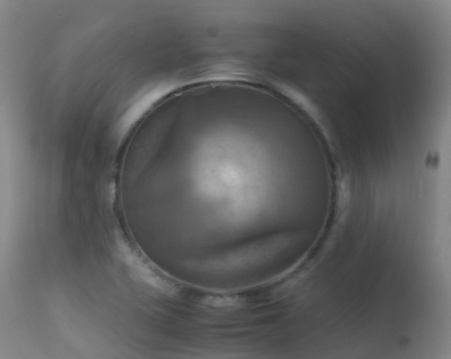 X0000113251415200909171615